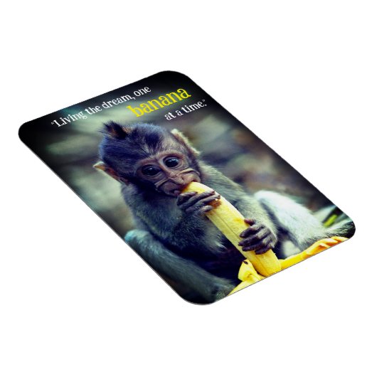 Baby Monkey Eating Banana Magnet (Rechte Seite)