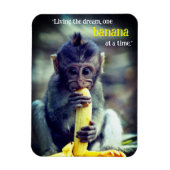 Baby Monkey Eating Banana Magnet (Vertikal)