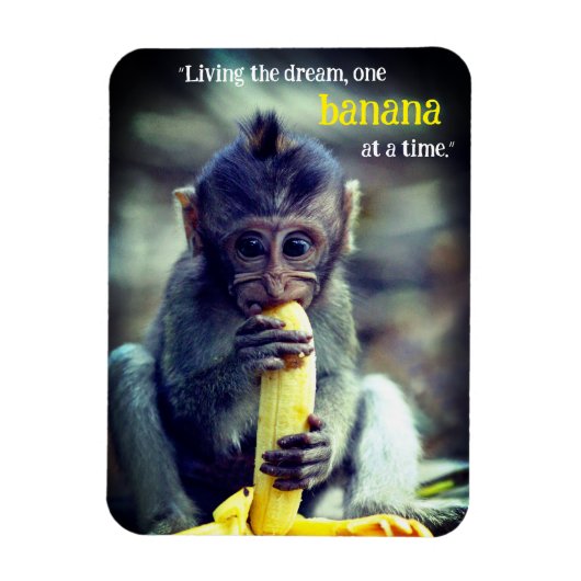 Baby Monkey Eating Banana Magnet (Vertikal)