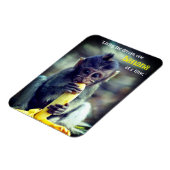 Baby Monkey Eating Banana Magnet (Linke Seite)