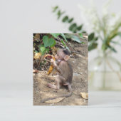 Baby Monkey Feiertagspostkarte (Stehend Vorderseite)
