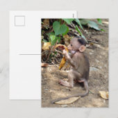 Baby Monkey Feiertagspostkarte (Vorne/Hinten)