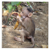 Baby Monkey Fliese (Vorderseite)
