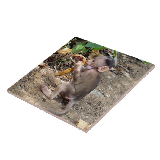 Baby Monkey Fliese (Seite)