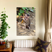 Baby Monkey Fotodruck