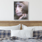 Baby Monkey Leinwanddruck (Insitu (Schlafzimmer))