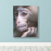 Baby Monkey Leinwanddruck (Insitu (Holzboden))