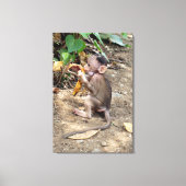 Baby Monkey Leinwanddruck (Vorderseite)