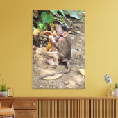 Baby Monkey Leinwanddruck (Insitu (Wohnzimmer))
