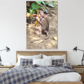 Baby Monkey Leinwanddruck (Insitu (Schlafzimmer))