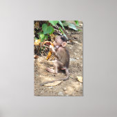 Baby Monkey Leinwanddruck (Vorderseite)