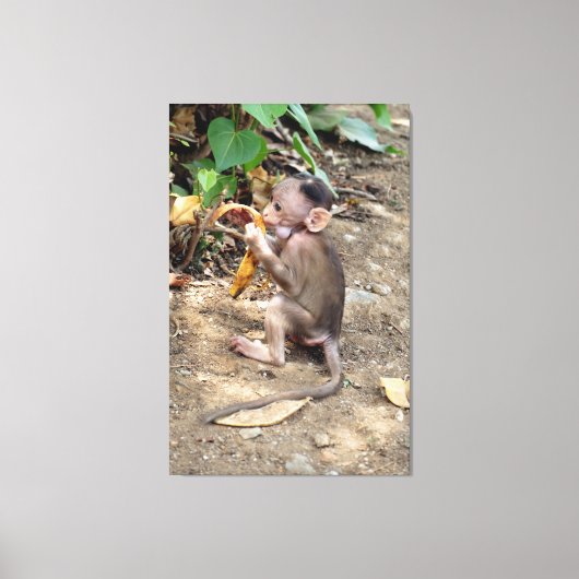 Baby Monkey Leinwanddruck (Vorderseite)