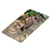 Baby Monkey Magnet (Linke Seite)