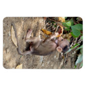 Baby Monkey Magnet (Horizontal)
