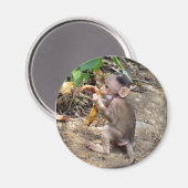 Baby Monkey Magnet (Vorderseite/Rückseite)