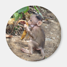 Baby Monkey Magnet
