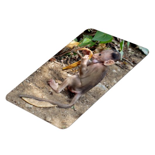 Baby Monkey Magnet (Linke Seite)