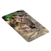 Baby Monkey Magnet (Rechte Seite)