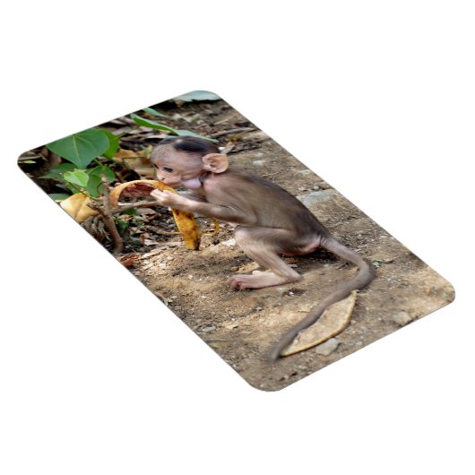 Baby Monkey Magnet (Rechte Seite)