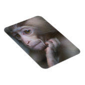 Baby Monkey Magnet (Rechte Seite)