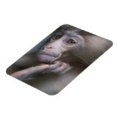 Baby Monkey Magnet (Linke Seite)