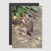 Baby Monkey Magnetkarte (Vorne/Hinten)