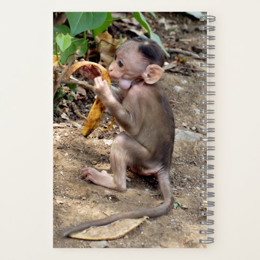 Baby Monkey Notizblock (Rückseite)