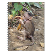 Baby Monkey Notizblock (Vorderseite)