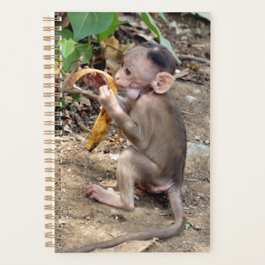 Baby Monkey Planer (Vorderseite)