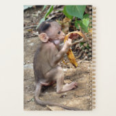 Baby Monkey Planer (Rückseite)