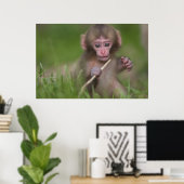 Baby Monkey Poster (Heimbüro)