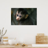 Baby Monkey Poster (Küche)