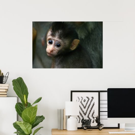 Baby Monkey Poster (Heimbüro)