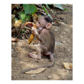 Baby Monkey Poster (Vorderseite)