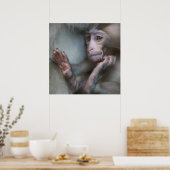 Baby Monkey Poster (Küche)