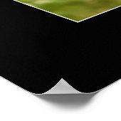 Baby Monkey Poster (Ecke)