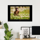 Baby Monkey Poster (Heimbüro)
