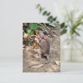 Baby Monkey Postkarte (Stehend Vorderseite)