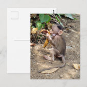 Baby Monkey Postkarte (Vorne/Hinten)