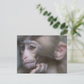 Baby Monkey Postkarte (Stehend Vorderseite)