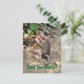 Baby Monkey Postkarte (Stehend Vorderseite)