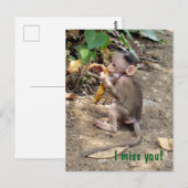 Baby Monkey Postkarte (Vorne/Hinten)