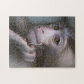 Baby Monkey Puzzle (Horizontal)