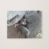 Baby Monkey Puzzle (Horizontal)