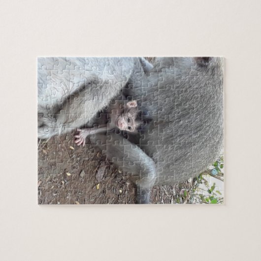 Baby Monkey Puzzle (Horizontal)