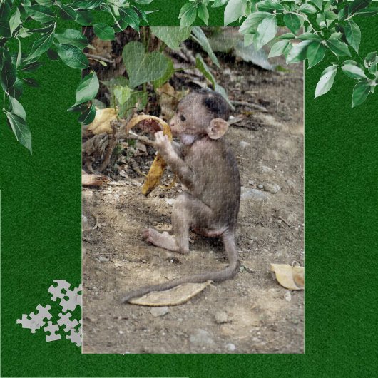 Baby Monkey Puzzle