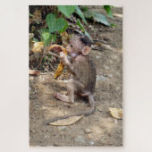 Baby Monkey Puzzle (Vertikal)