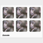 Baby Monkey Quadratischer Aufkleber (Blatt)