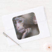 Baby Monkey Quadratischer Aufkleber (Umschlag)