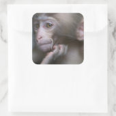 Baby Monkey Quadratischer Aufkleber (Tasche)